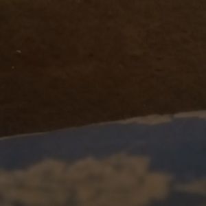 Meet your Posher, Jaylen